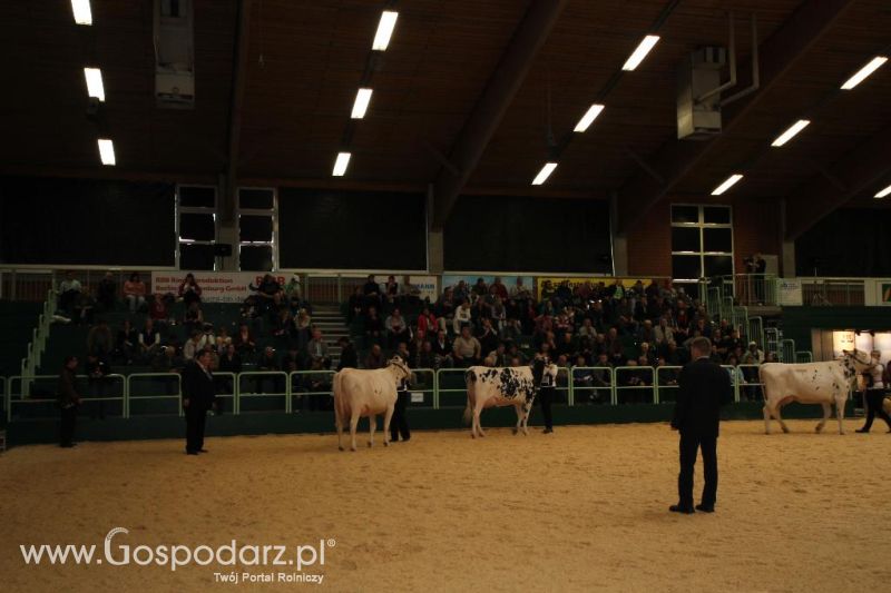 Wystawa  Blickpunkt Rind 2013 w miejscowości Paaren/Glien (Niemcy)