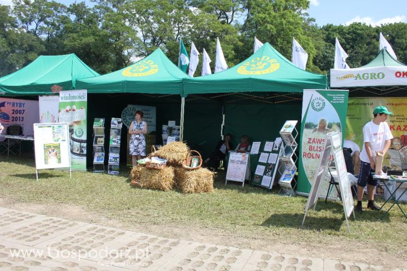 Regionalna Wystawa Zwierząt Hodowlanych i Dni z Doradztwem Rolniczym w Szepietowie-sobota