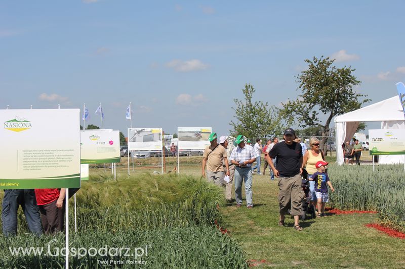 Polskie Zboża 2011 - Sobota