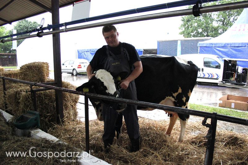 XVIII Regionalna Wystawa Zwierząt Hodowlanych w Szepietowie - przygotowania