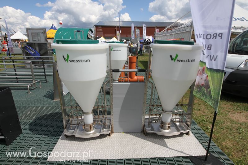 Wesstron na Agro-Tech w Minikowie 2016