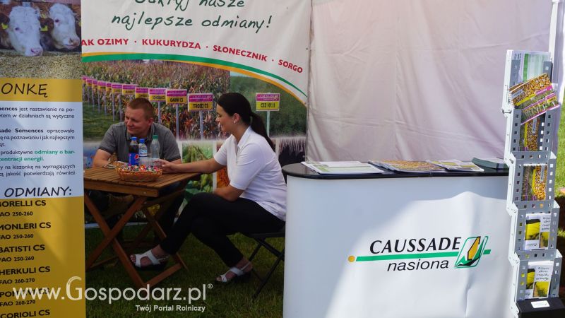 Caussade Nasiona Polska na ZIELONE AGRO SHOW w Ułężu 2017