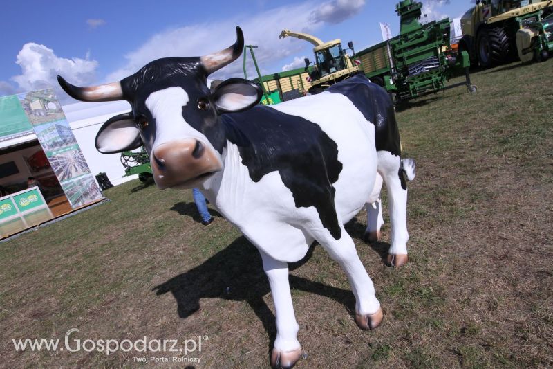 Agro Show 2019 dzień 1