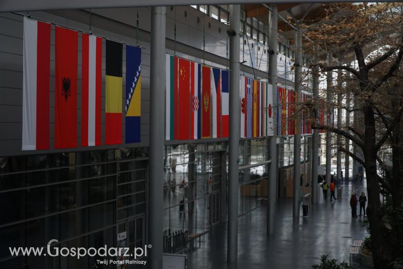 XXXVI Olimpiada Gołębi i Targi Gołębi Pocztowych i Akcesoriów otwarcie - dzień pierwszy