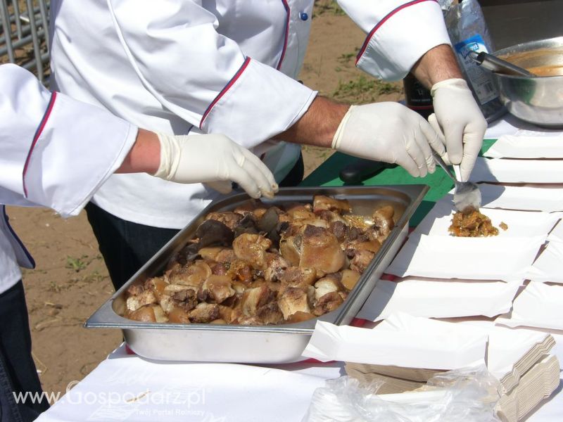 Festiwal Wieprzowiny Targowisko Dolne k/Lubawy 2012
