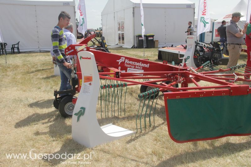 Zielone AGRO SHOW - Polskie Zboża 2015 w Sielinku