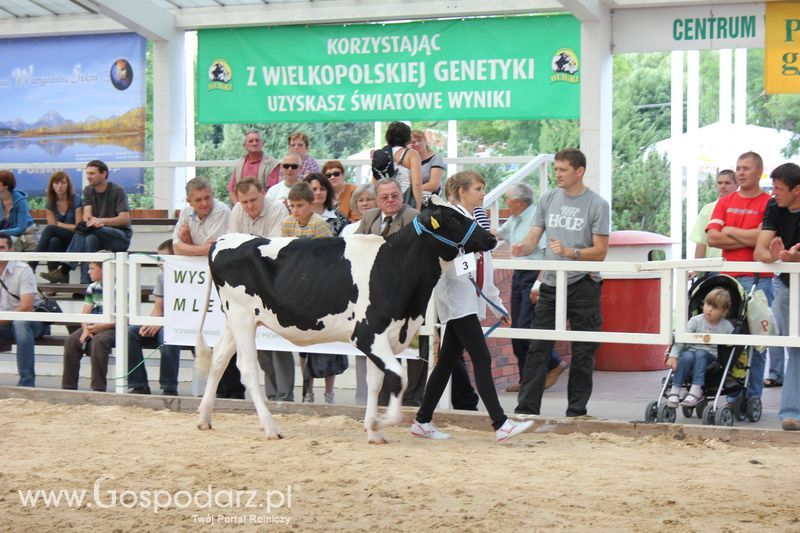 Czempioni XVII Regionalnej Wystawy Zwierząt Hodowlanych Sielinko 2011