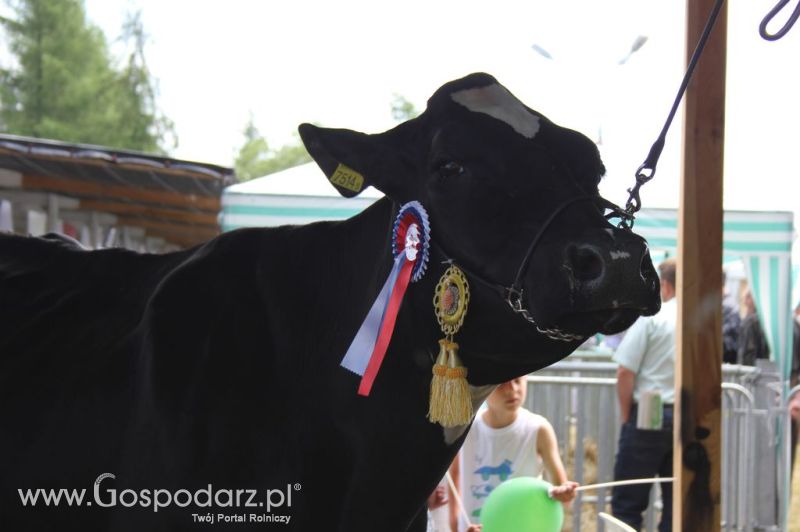 Relacja Foto Agro-Tech Minikowo 2012