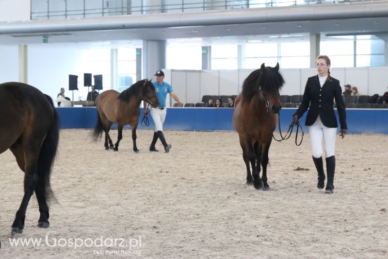 Krajowa Wystawa Zwierząt Hodowlanych w Poznaniu 2017 (piątek, 5 maja)