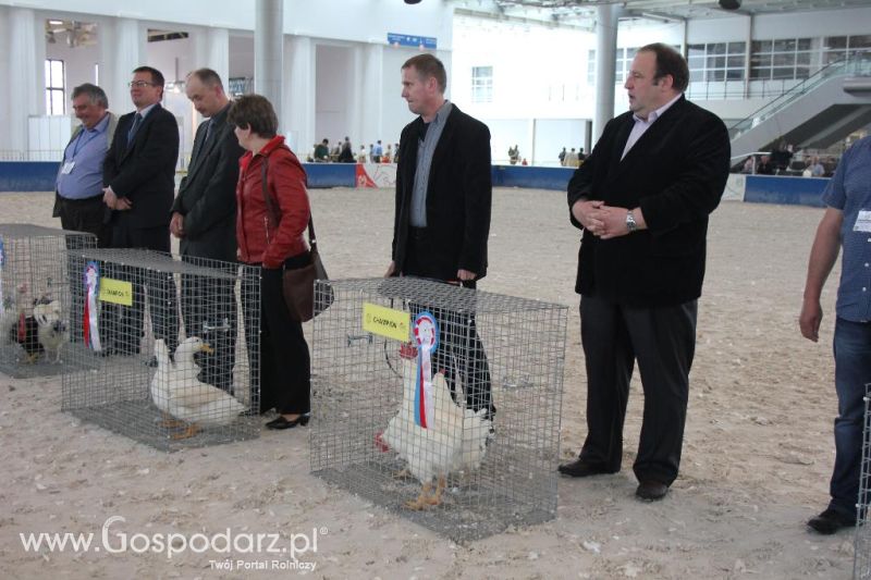 XXVI Krajowa Wystawa Zwierząt Hodowlanych - sobota i niedziela