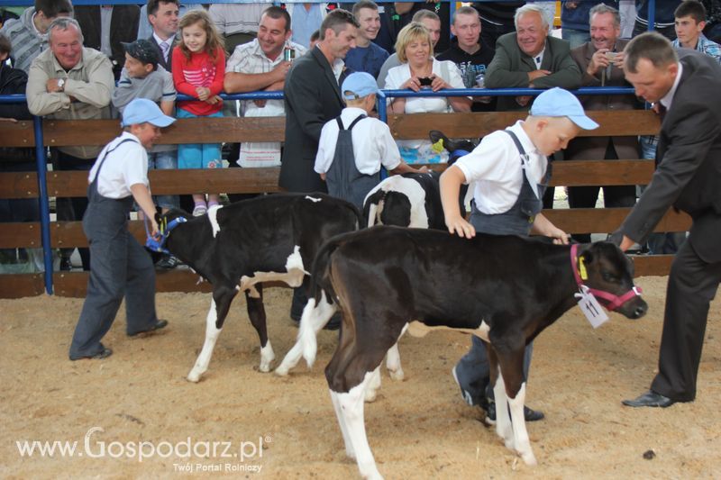 Młody hodowca na XVIII Regionalnej Wystawie Zwierząt Hodowlanych w Szepietowie