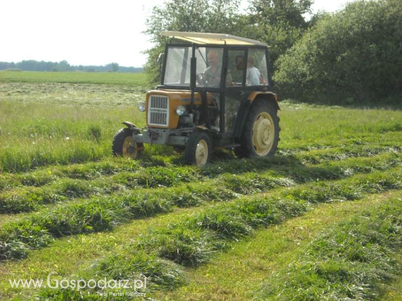 pierwsze sianokosy w roli głownej ursus c330M...