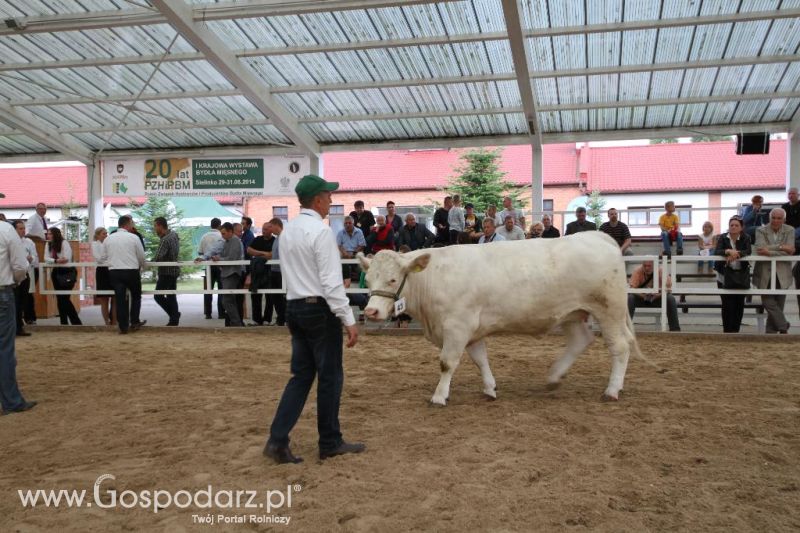 I Krajowa Wystawa Bydła Mięsnego w Sielinku - sobota