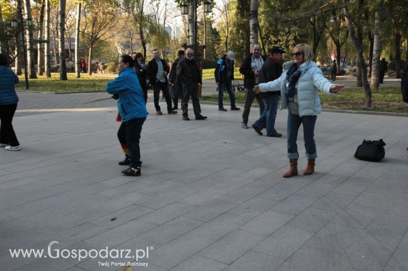 Gospodarz.pl w Chinach