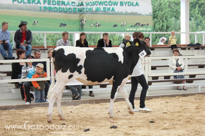 Wystawa bydła Sielinko 2011