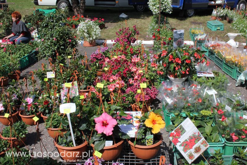 XX Agro-Targi 2011 w Starej Łubiance