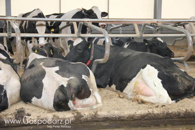 Dni Otwarte w GR Hendripol sp. z o.o.