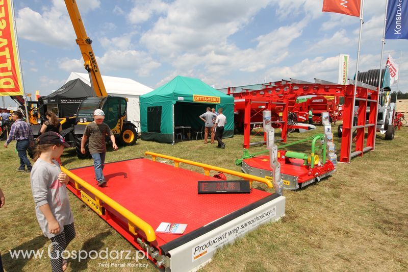 Ditta-Seria na OPOLAGRZE 2016