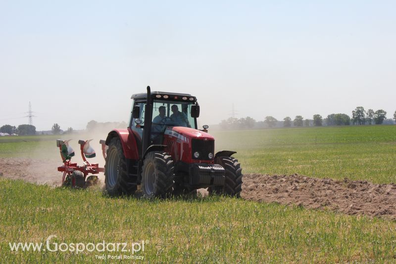 Polskie Zboża 2011 - Piątek 