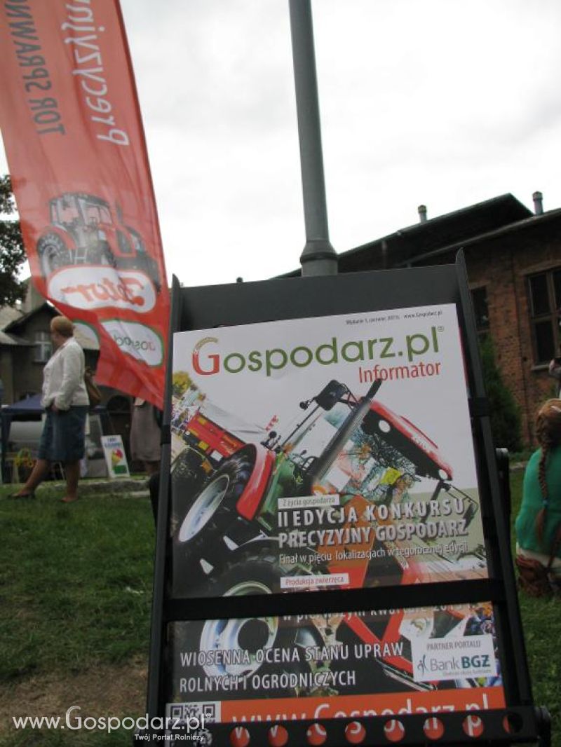Festiwal Wieprzowiny w Koźminie Wielkopolskim 2013