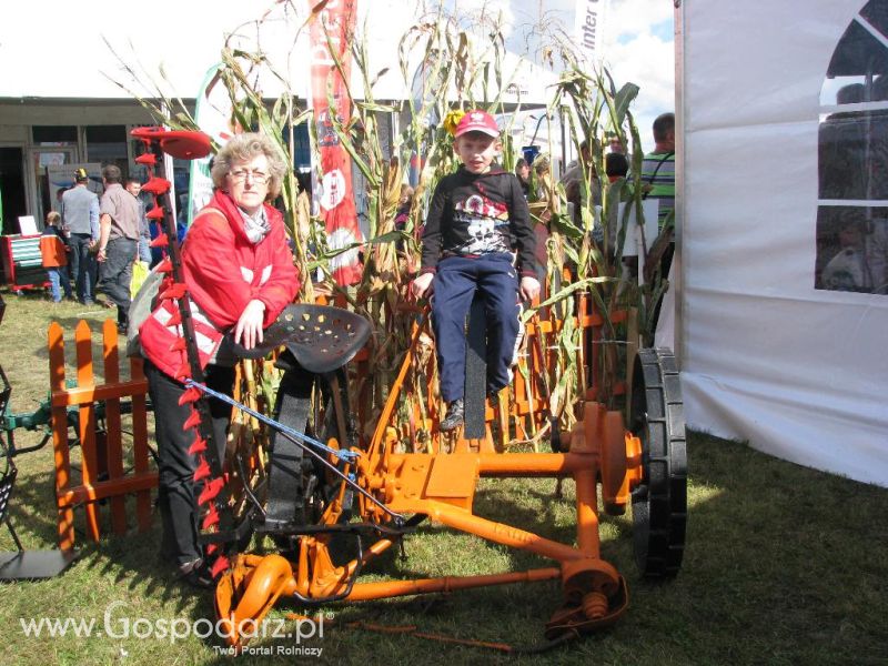 Agro Show 2013 Bednary Zdjęcie z krówką