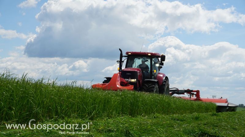 ZIELONE AGRO SHOW 2017 w Ułężu (niedziela, 28 maja)