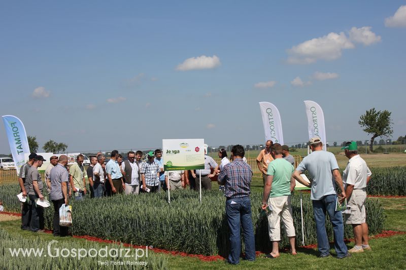 Polskie Zboża 2011 - Sobota