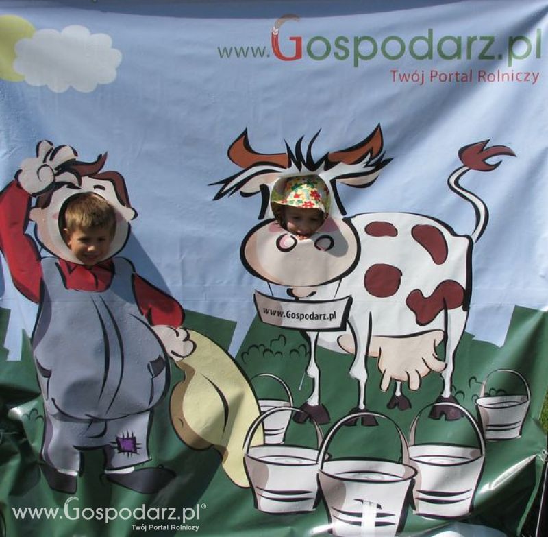 Wielkopolskie Targi Rolnicze „Sielinko 2011”  - Krówka Gospodarza