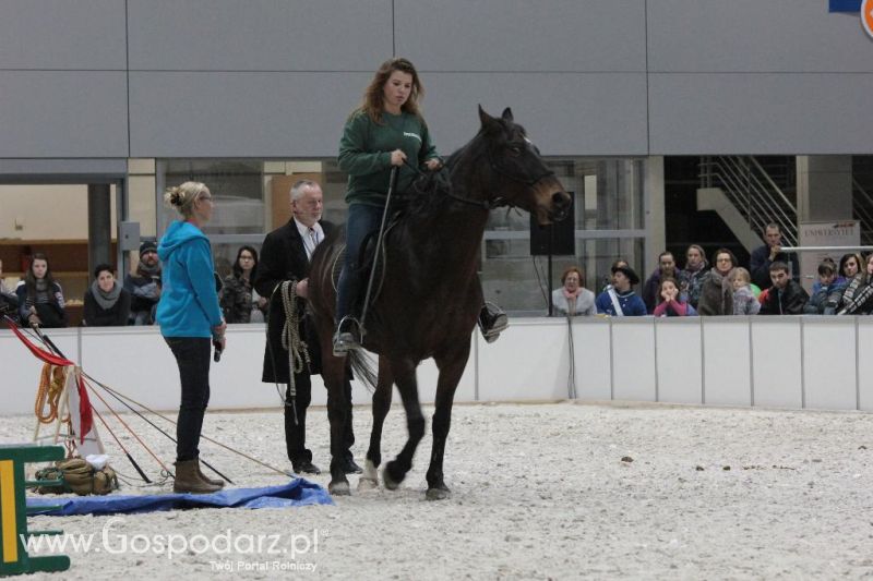 CAVALIADA 2013 w Poznaniu
