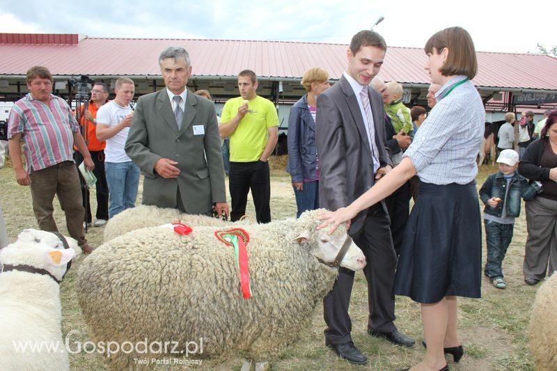 Wręczenie nagród na XVIII Regionalnej Wystawie Zwierząt Hodowlanych w Szepietowie