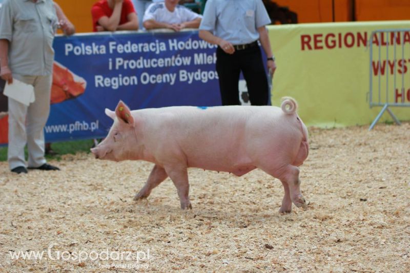 AGRO-TECH w Minikowie 2013