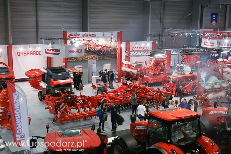 Polagra-Premiery, Niedziela 24.01.2016 r.