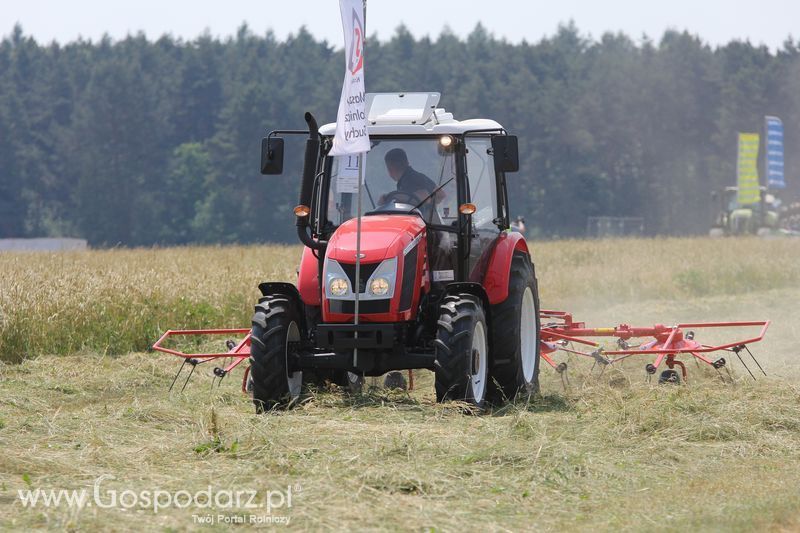 Pokazy polowe podczas targów OPOLAGRA 2015