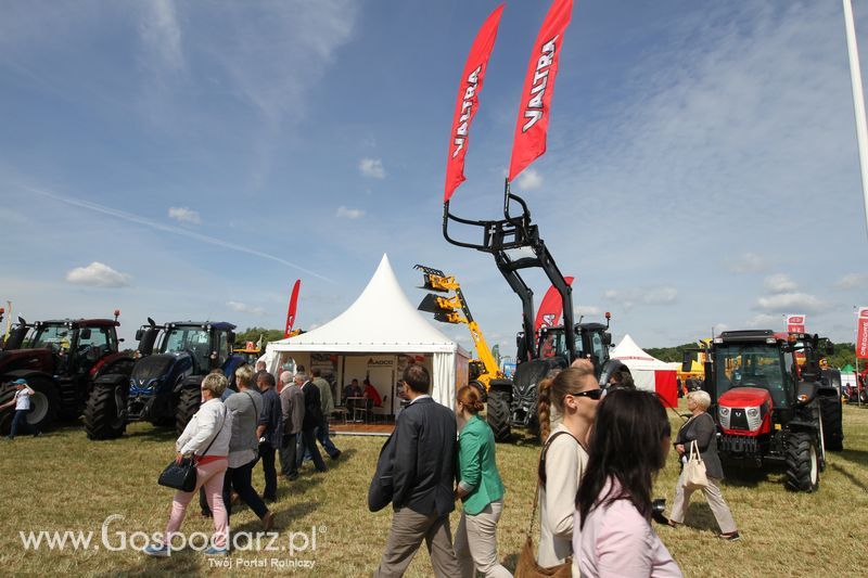 Zielone AGRO SHOW - Polskie Zboża 2015 w Sielinku