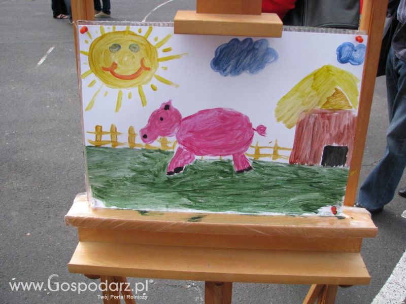 Festiwal Wieprzowiny w Koźminie Wielkopolskim 2013