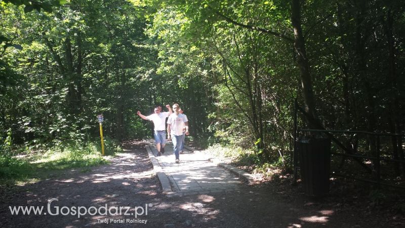 Precyzyjni Gospodarze w Czechach