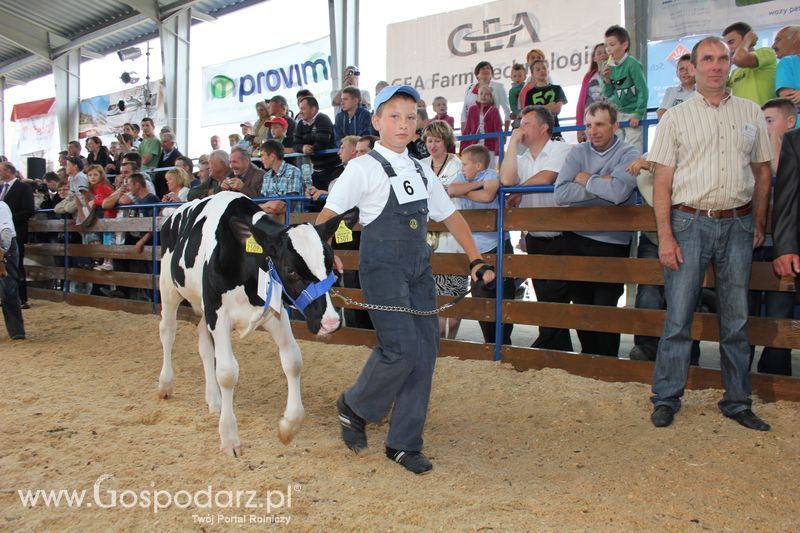 Młody hodowca na XVIII Regionalnej Wystawie Zwierząt Hodowlanych w Szepietowie