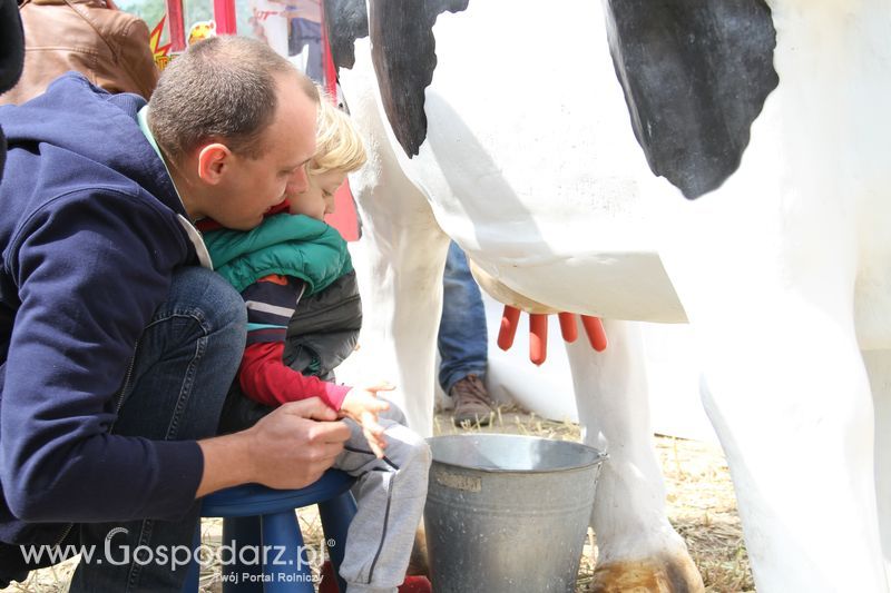 Majówka z Zetorem w Brzeziu