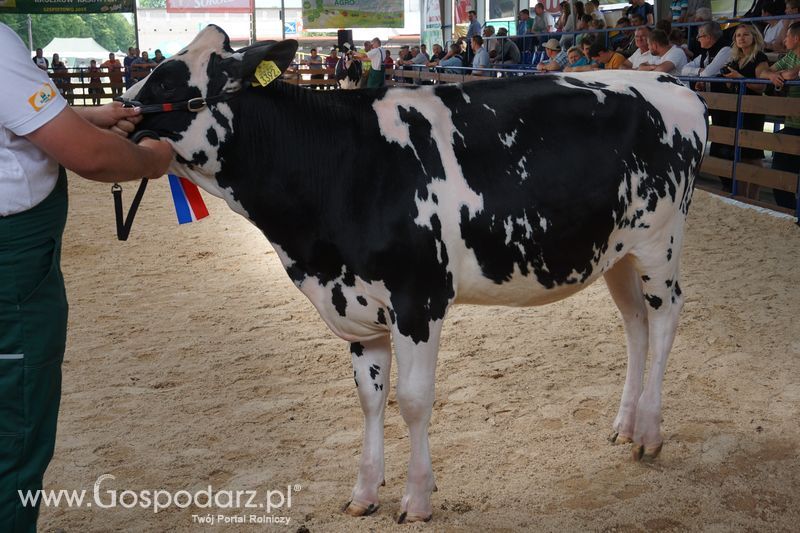 Wystawa zwierząt w Szepietowie