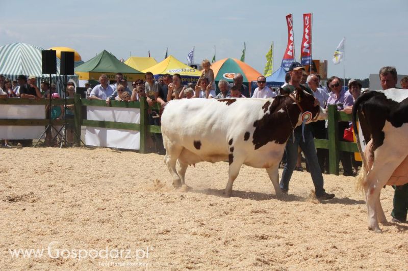 Opolagra 2013 cz.2