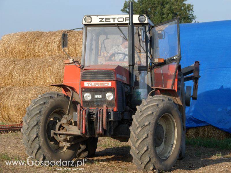 Głęboszowanie ZTS 16245 