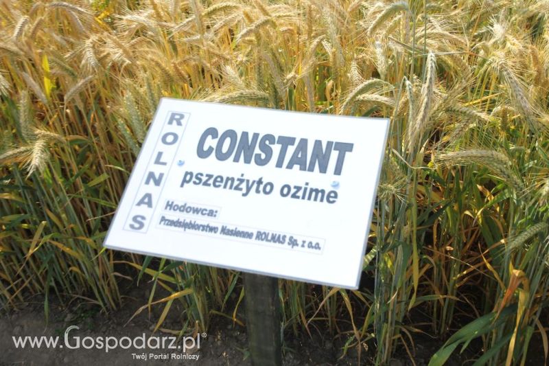 AGRO-TECH Minikowo 2014 - niedziela