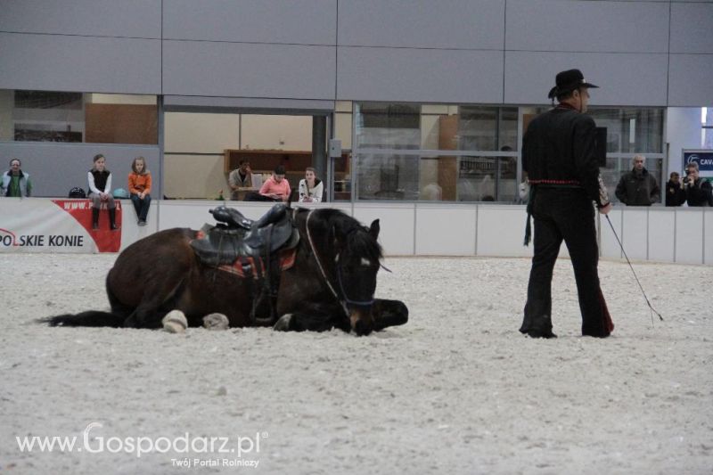CAVALIADA 2013 w Poznaniu