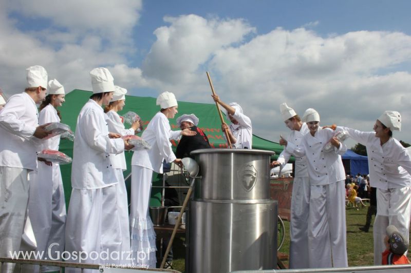 Świętomięs Polski w Chorzowie