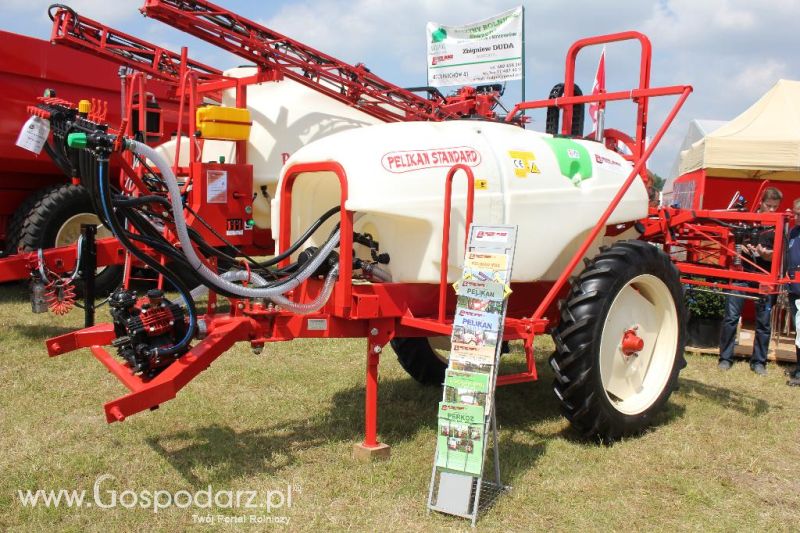 Bury na Opolagrze 2013