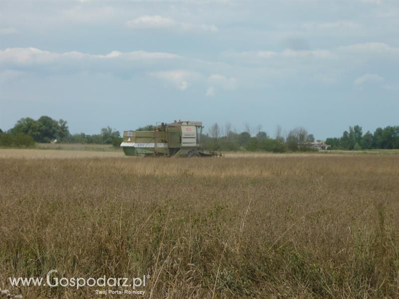 Żniwa Rzepakowe 2011