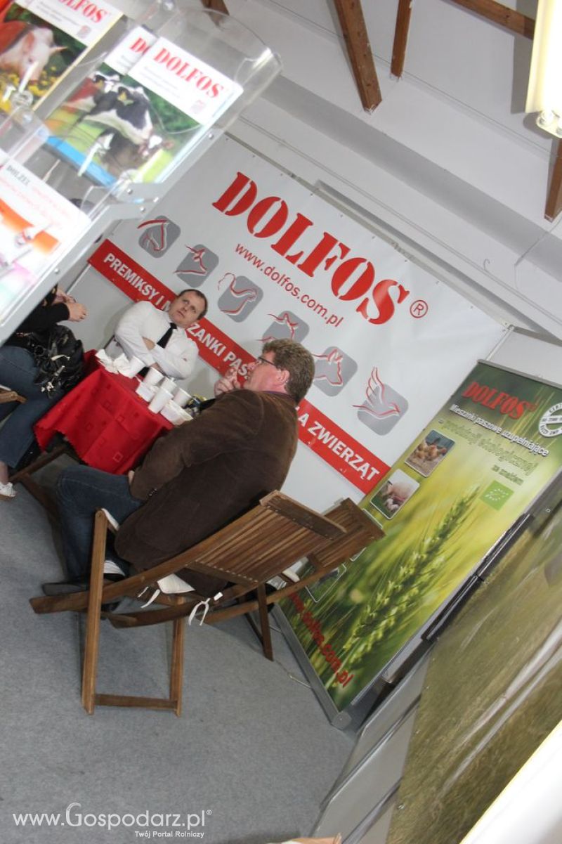 VII Ogólnopolska Wystawa Bydła Hodowlanego - Sielinko 2012