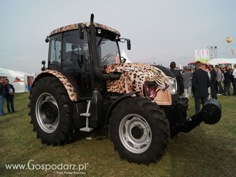 INTER-VAX Bednary 2012