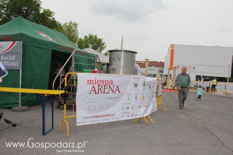 Mięsna Arena 2013 w Poznaniu