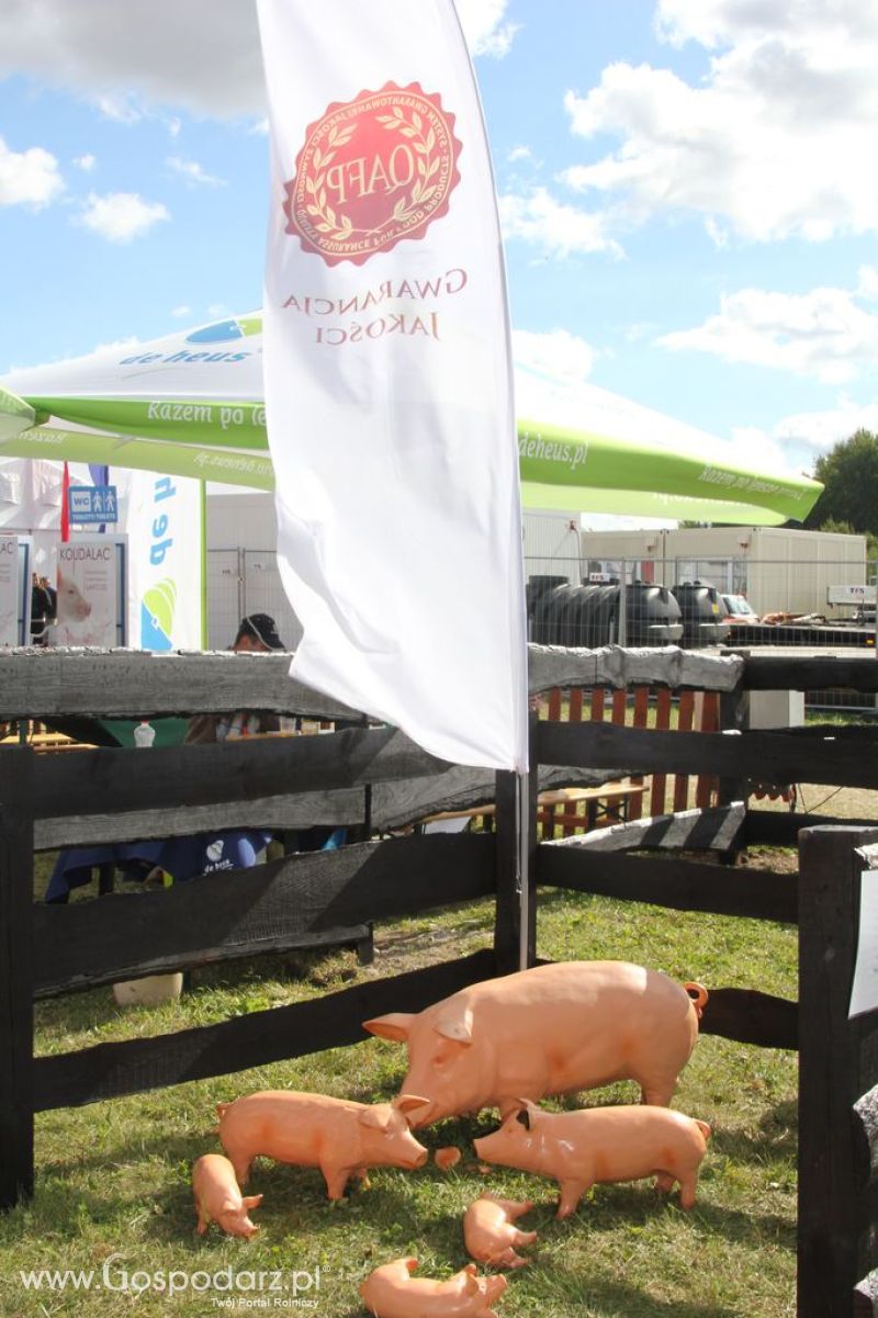  Agro Show 2012 - niedziela